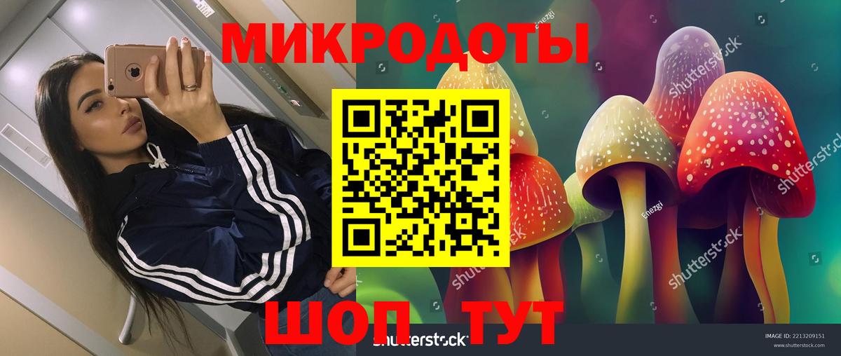 Псилоцибиновые грибы Psilocybine cubensis Междуреченск